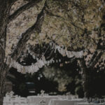 weddings_dark